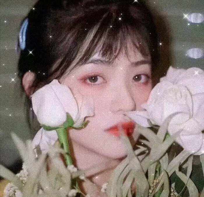 凤鸣怪谈